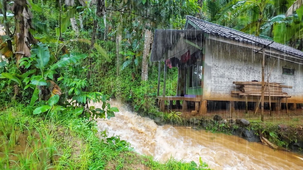 Hujan Deras Bikin Panik‼️ Takut Sawah Banjir, Terus Longsor, Ada Gadis Desa Di Kampung Terdingin🥶