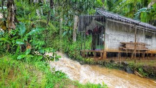 Download Lagu Hujan Deras Bikin Panik‼️ Takut Sawah Banjir, Terus Longsor, Ada Gadis Desa Di Kampung Terdingin🥶 MP3