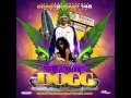 Mike ills  its over ft k quick  dp      coast 2 coast mixtapes by snoop dog