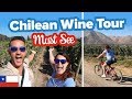 Incredible Wine Tour in Chile 🍷 This is Maipo Valley 🇨🇱 The Best Wine Tour in Chile.