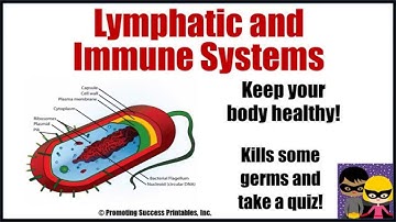 Immune & Lymphatic Systems Function Human Body Anatomy Science Video for Elementary & Middle School