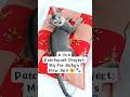 Sewing a Patchwork Pillow for my Cat | Scrap Fabric Project  #sewing #cat #sleep