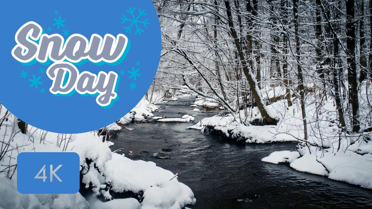 Winter's Embrace: Calming Nature Sounds by a Snowy Stream