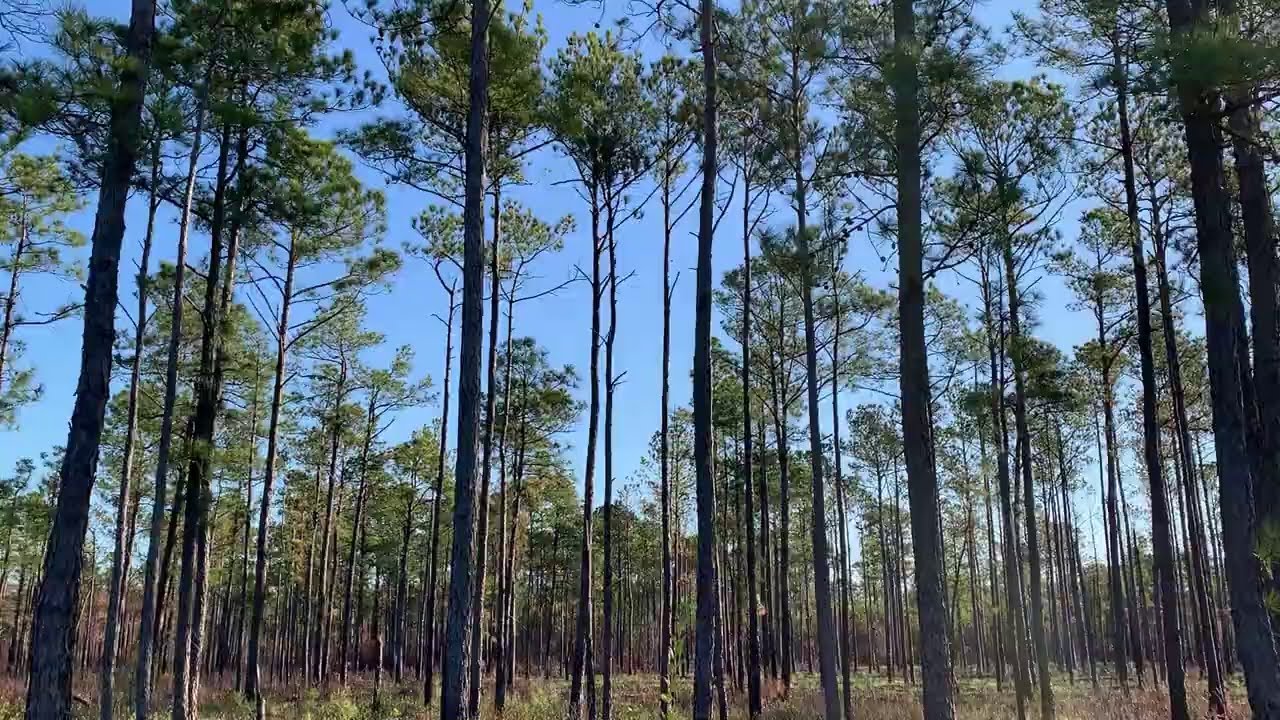 NatureServe | AWS IMAGINE Grant Winner