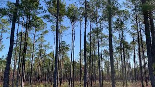 NatureServe | AWS IMAGINE Grant Winner