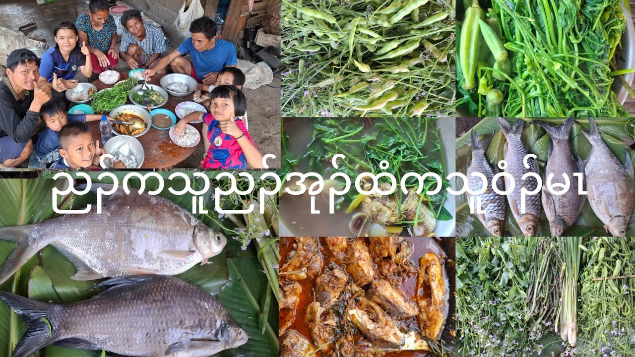 Curry 🍛 flsh ညၣ်ကသူဝံၣ်မၤ