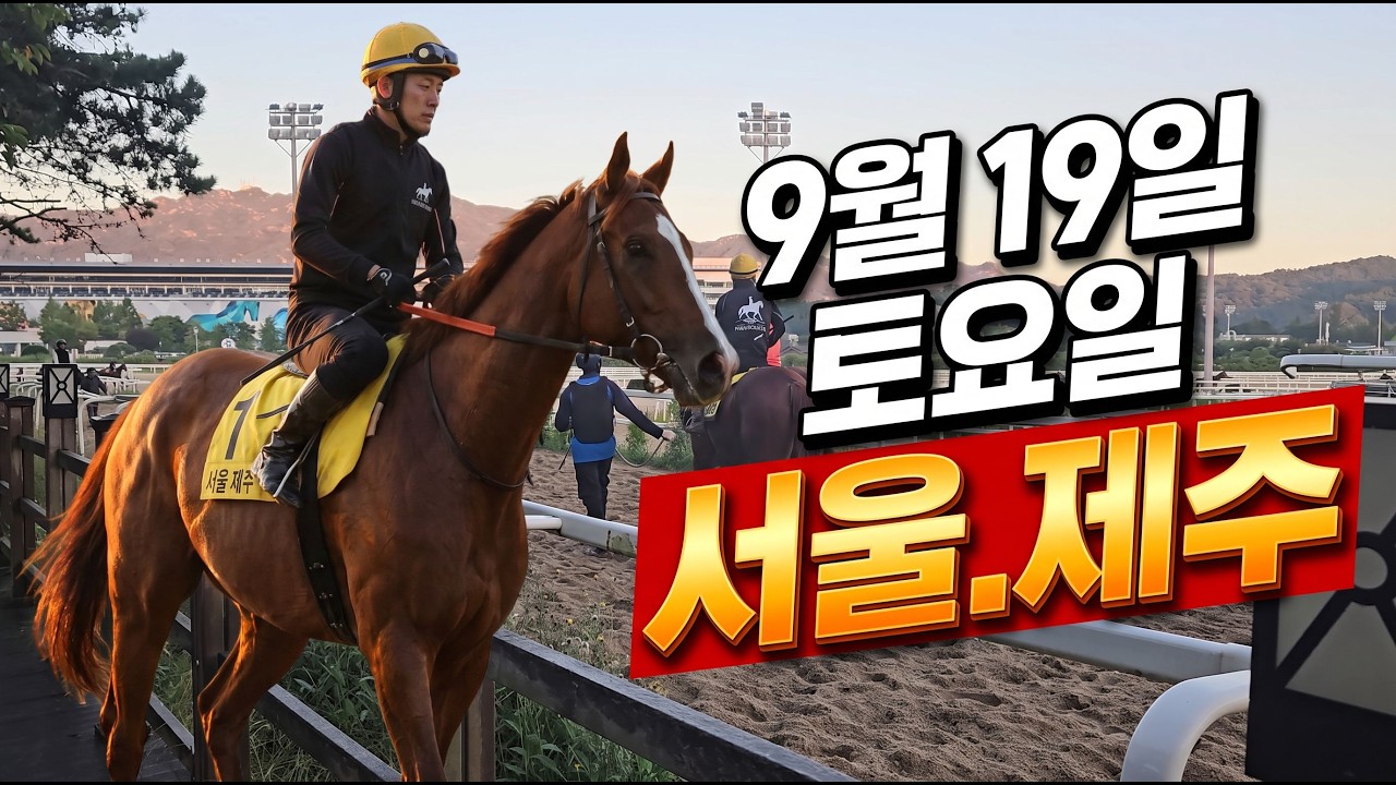 [ 2026년 9월 19일 토요(서울.제주)경마~!]