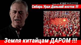 Земля в аренду китайцам на 49 лет. Сергей Даренко. Сибирь,  Урал,  Дальний восток. Мнение.