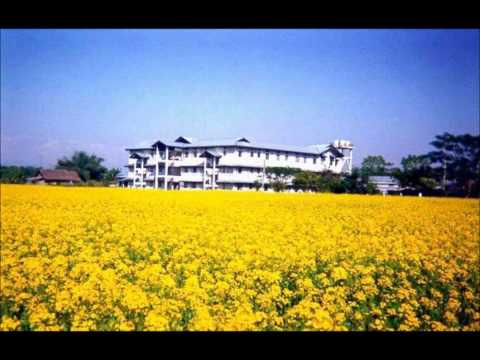 羅文   愛情的代價