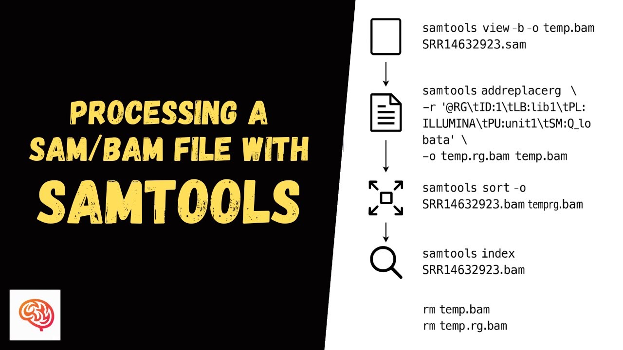 How to Convert, Add Read Group, Sort and Index SAM/BAM Files with ...