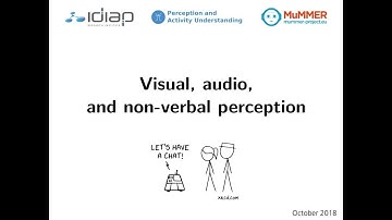Visual, audio, and non-verbal perception