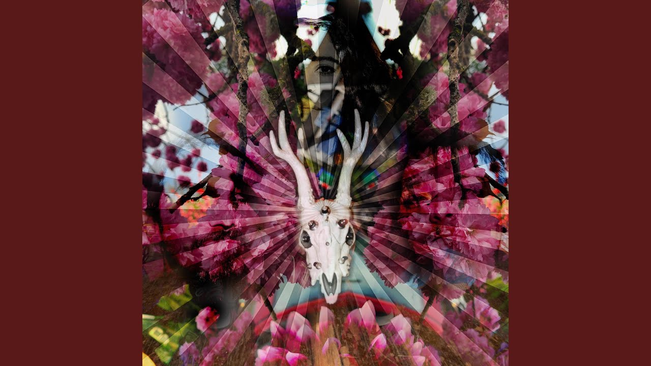 YouTube에서 Wrecktangle 보기 YouTube에서 Wrecktangle 보기