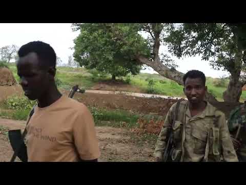 Gaashaanle Dhexe Cali Axmed Xaashi Khawaarijta Caadeysatay Daadinta Dhiigga Muslimiinta D