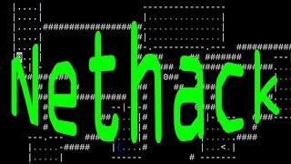 NetHack is the Best Hack!