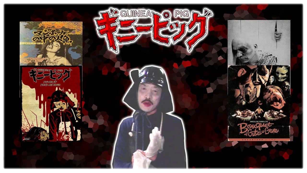 Guinea Pig Reviewing and Ranking of all Movies YouTube