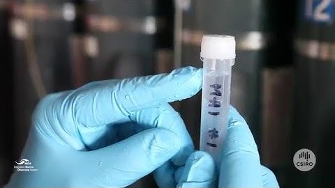 Protocol for IMOS nutrient sampling