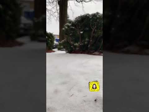 غنى الجنوبية خذت موتش يا ديار الجنوب 