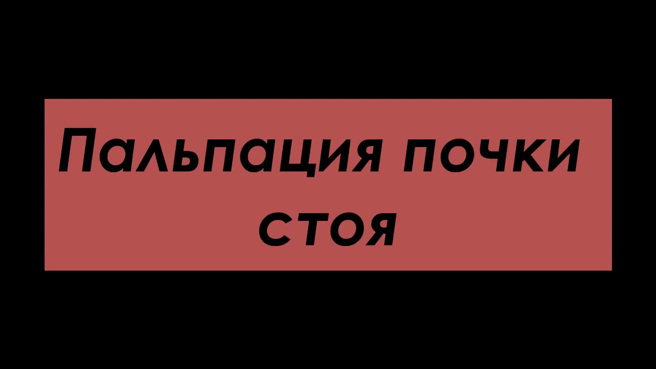 Пальпация почки стоя