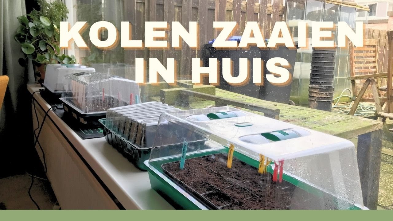 Spits en rode kolen ZAAIEN | Moestuin in een rijtjeshuis