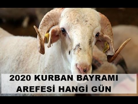 Kurban Bayramı Arefesi Hangi Gün 2020