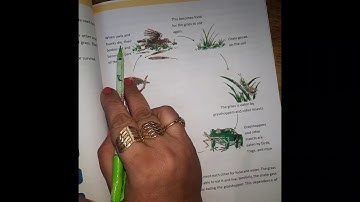 Grade-III EVS Ch-18 The Environment Around Us .