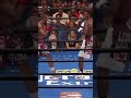 The most brutal KOs in boxing history. Witness raw power at its peak.