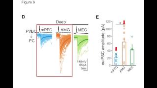 Figure360: Cell Reports, Lee et al., Figure 6