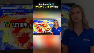 Ranking TOP CATS RUINING LIVE TV Core Moments!! 🐱📺