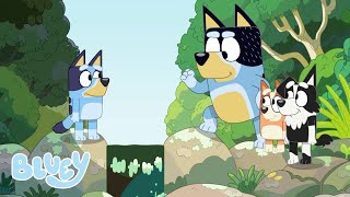 Avventure all'aperto con Bluey | Bluey Italiano Canale Ufficiale