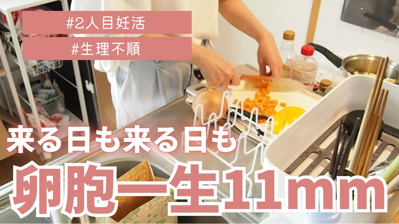 【2人目不妊治療】1周期目まとめ/生理周期長すぎ【vol.2】