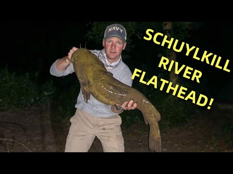 Schuylkill River Flathead Catfish (Night Fishing for Flatheads)