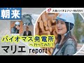 【大東バイオエナジー】マリエレポート!朝来バイオマス発電所へ行ってみた!