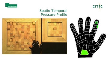 Modular Haptic Stimulus Board - Investigating Haptic Interaction
