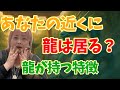 【龍とは何か？】あなたの近くに龍は居る？魂の記憶に眠る存在【龍の持つ２つの姿】
