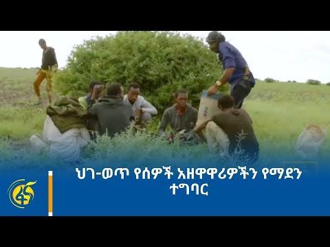 ቪዲዮ: ቅቤ ክሬም እንዴት እንደሚሰራ: 8 ደረጃዎች (ከስዕሎች ጋር)