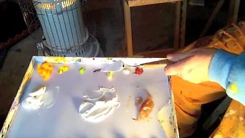 carrie jacobson shows you a 'petal-painting' backg...