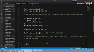 40 Golang中空接口和类型断言使用细节 类型断言输出空接口类型结构体属性（4）