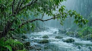 Deep Healing Sleep  with Soothing Rain on Flowing Forest Stream | ASMR Natural Sounds