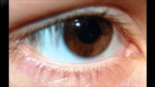 Brown Eyed Girl        Jimmy Buffett