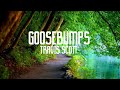 Goosebumps - Travis Scott, Kendrick Lamar (Clean - Lyrics)