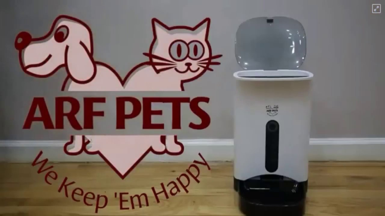 pets bd ARF Pet Feeder all included resorts mexico 24h