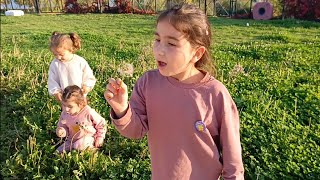 Kız Kardeşler Piknikte Ip Atladılar Top Oynadılar Çimlerde Yuvarlandılar