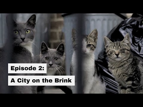 Episode 2: A City on the Brink