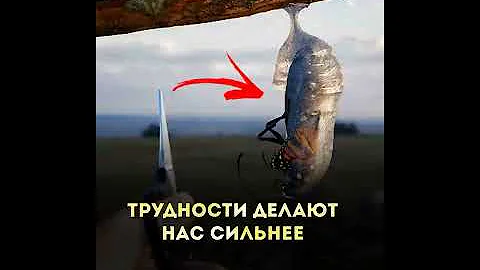 Мощная мотивация, История со смыслом.