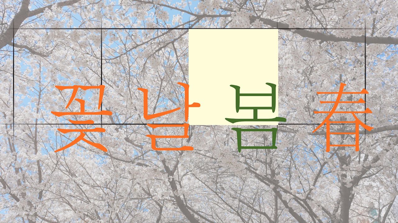 봄바람에 실린 벚꽃 