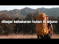 Perjuangan Sia-sia part 3 (Gunung Arjuno-Welirang, Jawa Timur)