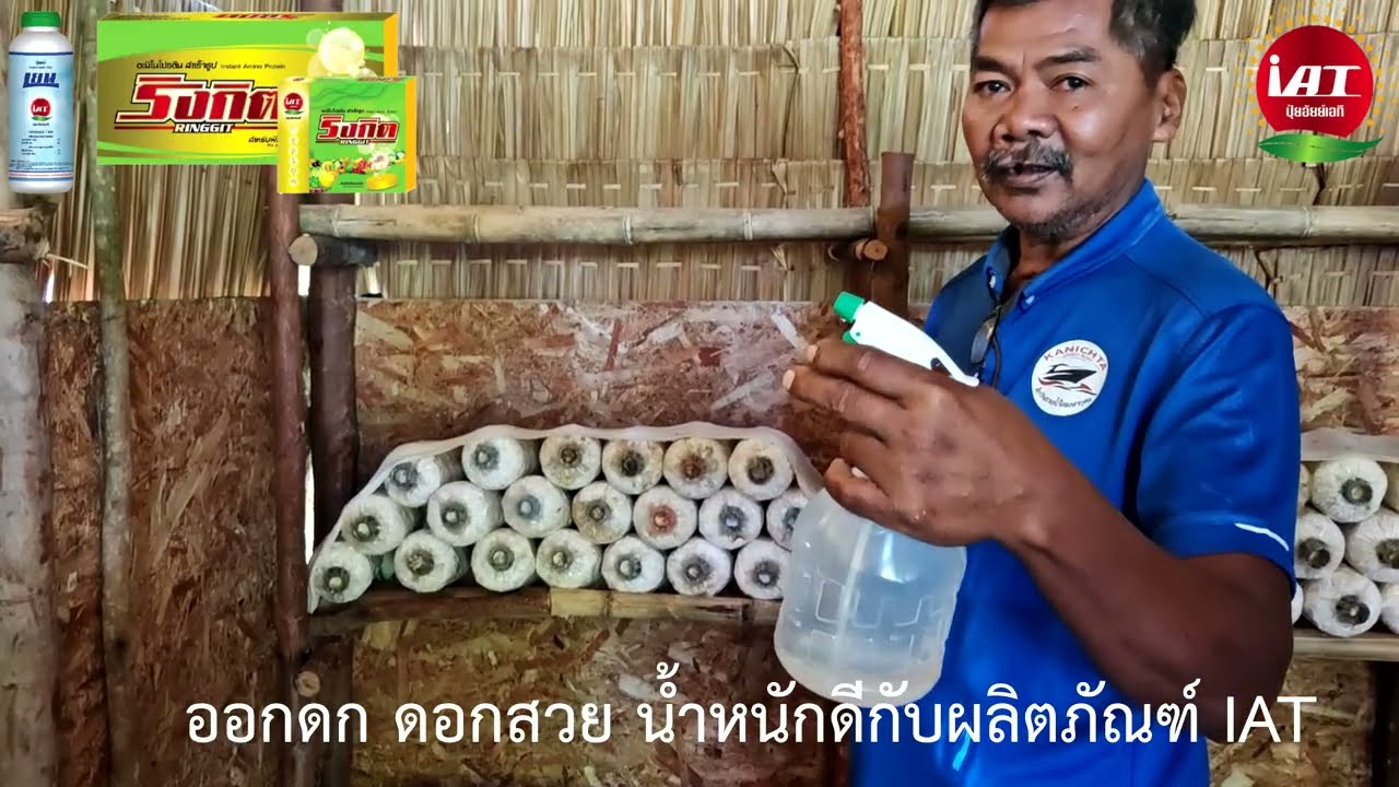 ผลิตภัณฑ์ iAT