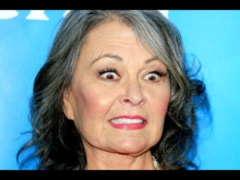 Roseanne Barr Says She 'Begged' an ABC Exec Not to Cancel Her Show