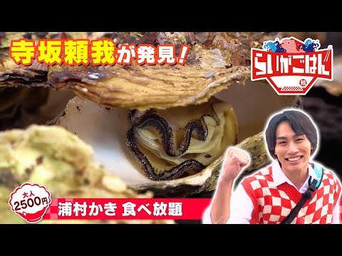 【三重県鳥羽市】３つのキーワードで絶品グルメを探せ！寺坂頼我がミッションに挑戦！【ゴゴスマ「らいがごはん」】