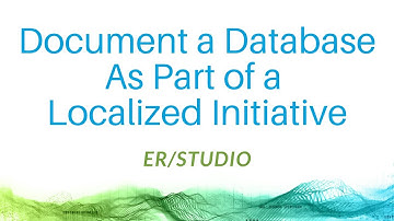 Document a Database As Part of a Localized Initiative with ER/Studio
